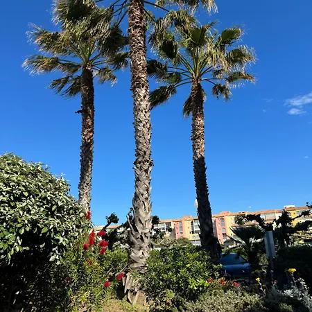 Apartamento T2 Proche Port ! Terrasse Plancha Wifi ! *